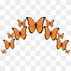 #orange #butterfly #butterflys #crown #emoji #emojis - Butterfly Crown Picsart, HD Png Download - crown emoji png