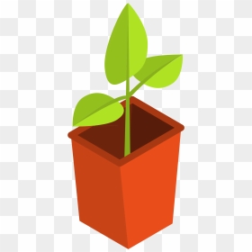 Transparent Pot Plant Png, Png Download - potted plant png