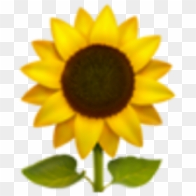Sunflower Emoji Transparent & Png Clipart Free Download - Iphone Sunflower Emoji Transparent, Png Download - flower emoji png