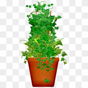 Potted Plant Png, Transparent Png - potted plant png