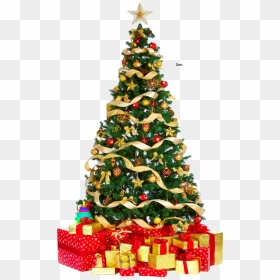 Christmas Tree Vector Png - Christmas Tree Png Gif, Transparent Png - christmas tree vector png
