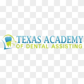 Dental Assistant Grand Rapids - Company, HD Png Download - texas outline png