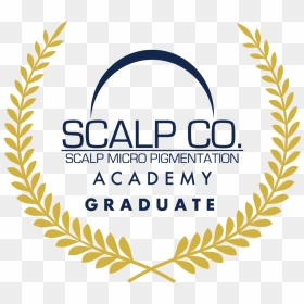 Scalp Co Grad - Zero Project Award Winner, HD Png Download - realistic scar png