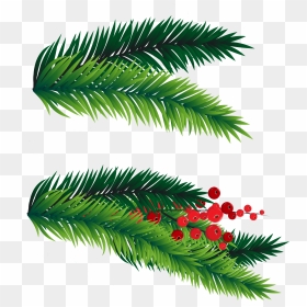 28 Collection Of Christmas Tree Branches Clipart - Christmas Tree Branches Clipart, HD Png Download - christmas tree vector png