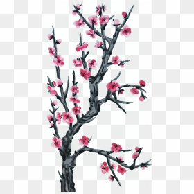 Arizona Iced Tea Background, HD Png Download - cherry blossom tree png