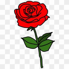 Rose, Thorns, Red - Floribunda, HD Png Download - thorns png