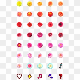 Dahlia Emoji, HD Png Download - flower emoji png