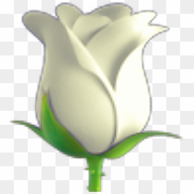 ~🌹might Need To Redo This - White Rose Emoji Png, Transparent Png - flower emoji png
