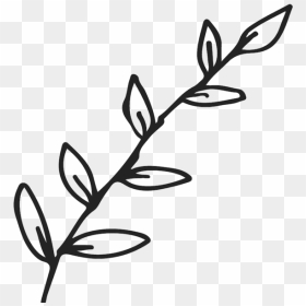 Branch With Leaves Outline Rubber Stamp - Leaf Clipart Black And White Outline, HD Png Download - rose outline png