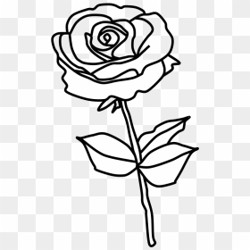 Rose, Thorns, Black And White - Garden Roses, HD Png Download - thorns png