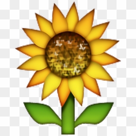 Transparent Flower Emoji Png - Transparent Sunflower Emoji Png, Png Download - flower emoji png