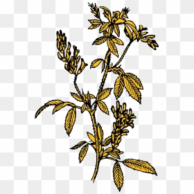 Alfalfa Clip Art, HD Png Download - flower mala png