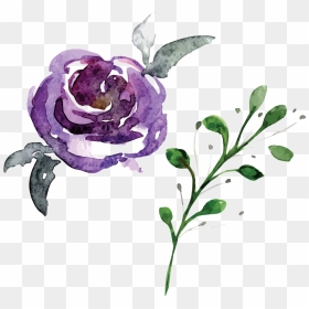 Hand Painted Flowers And Plants Hd Beautiful Illustration - Watercolor Flower Png Hd, Transparent Png - flower png hd
