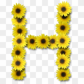Alphabet Sunflower Letters, HD Png Download - flower emoji png
