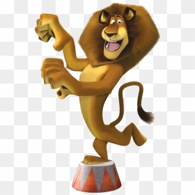 Circus Lion Png - Alex Madagascar, Transparent Png - lion png hd