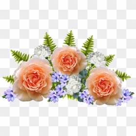 Flower, HD Png Download - flowers bokeh png