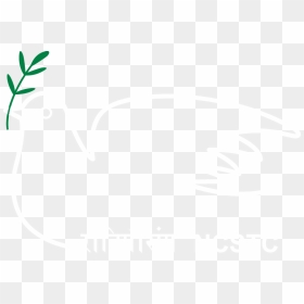 Ncstc - Illustration, HD Png Download - rakhi vector png