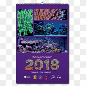 Rainbow Rose, HD Png Download - 2018 calendar png