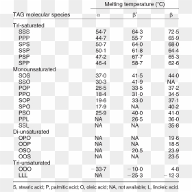 Low Phospholipid Melting Point, HD Png Download - offer tag blank png