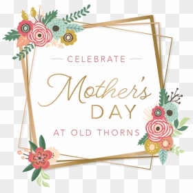 Mothers Day - Garden Roses, HD Png Download - mother's day png