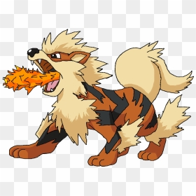 Arcanine Transparent , Png Download - Arcanine Png, Png Download - arcanine png