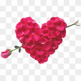 Rose Heart And Arrow - Red Rose Bokeh Hd, HD Png Download - flowers bokeh png