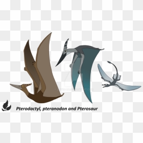 Transparent Pterodactyl Png - Difference Between A Pterodactyl, Png Download - pterodactyl png