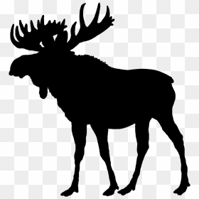 Moose Transparent Background - Free Moose Silhouette, HD Png Download - moose png