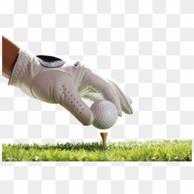 Play Golf Png Download - Transparent Background Golf Png, Png Download - golf png