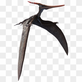 Loon, HD Png Download - pterodactyl png