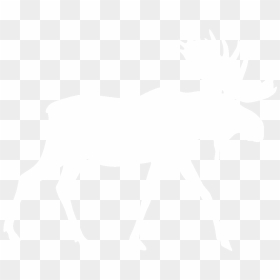 Moose, Elk Png - White Moose Png, Transparent Png - moose png