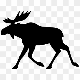 Moose Elk Deer Bear - Clipart Silhouette Moose, HD Png Download - moose png