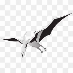 Wings Dinosaur Gif, HD Png Download - pterodactyl png