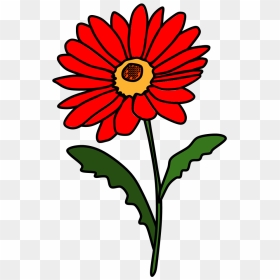 Daisy, Petals, Red - Barberton Daisy Flower In Transparent Background, HD Png Download - daisies png