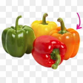 Transparent Red Pepper Png - Peppers Green Red Yellow Orange, Png Download - pepper png