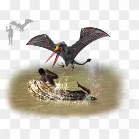 Pterodactyl Transparent Giant - Flying Snake Of Namibia, HD Png Download - pterodactyl png