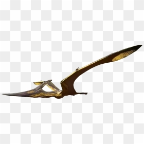 The Isle Wiki - Pteranodon The Isle, HD Png Download - pterodactyl png