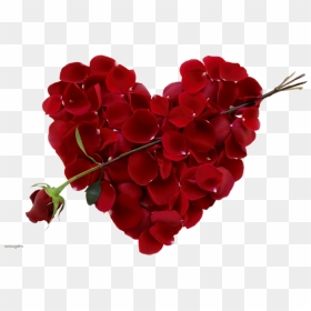 New Images Of Download Rose Flower Awesome Beautiful - Valentine Day Image Download, HD Png Download - valentines day png