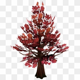 Transparent Tree Maple - Runescape 3 Maple Tree Locations, HD Png Download - maple tree png