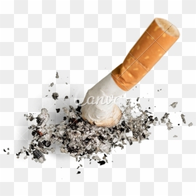 Cigarette Butt Png - Cigarette Ash Png, Transparent Png - butt png