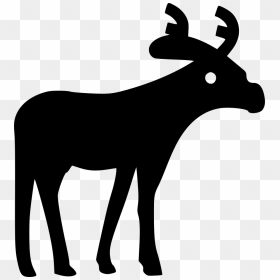 Moose - Portable Network Graphics, HD Png Download - moose png