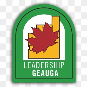 Lg Logo Png, Transparent Png - lg logo png