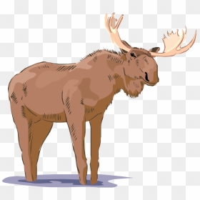 Free Moose Download Png Clipart - Realistic Moose Clipart, Transparent Png - moose png