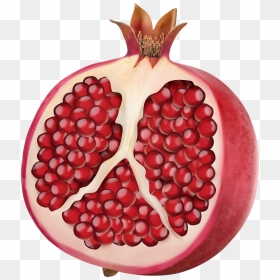 Pomegranate Png Picture - Pomegranate Transparent Background, Png Download - pomegranate png