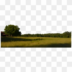 Hd Field And Trees Background Png Stock 0038 Copy 5 - Trees Horizon Png, Transparent Png - landscape png