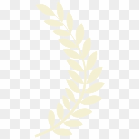Awards & Festival Screenings - Montreal World Film Festival Logo, HD Png Download - laurel wreath png