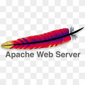 Apache Web Server Png, Transparent Png - server png