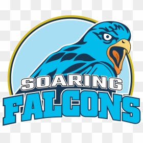 Adamson University Soaring Falcons, HD Png Download - falcons logo png