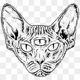 Cathead , Png Download - Illustration, Transparent Png - cat head png