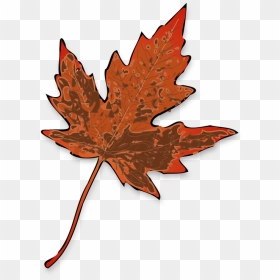 Maple Leaf Clip Art, HD Png Download - maple tree png